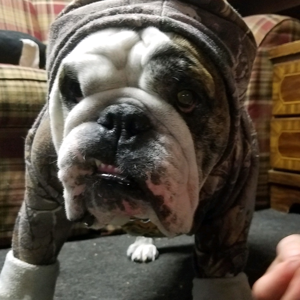 Meet your Posher, My-lien